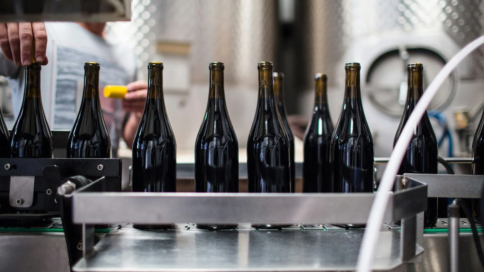 Des bouteilles de vin avancent sur une ligne d’embouteillage