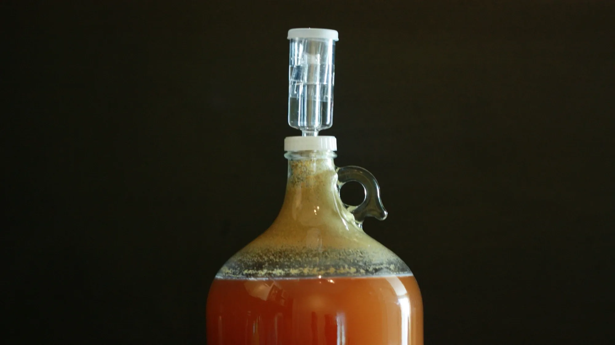 Une tourie en verre remplie de moût en fermentation, coiffée d’un bouchon et d’un barboteur, sur fond sombre
