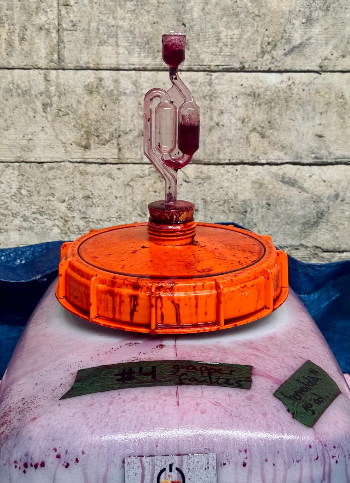 A fermentation vat with an orange lid whose airlock is filled with wine: the carboy “drools,” which is fermentation overflow